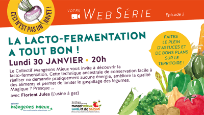 20230126_visio_lacto-fermentation-vignette