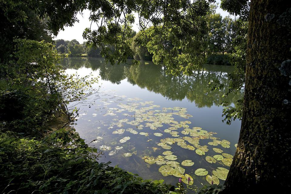 Préserver les ressources en haut Grand Cognac Préserver les ressources en haut Grand Cognac