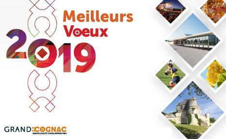 voeux2019