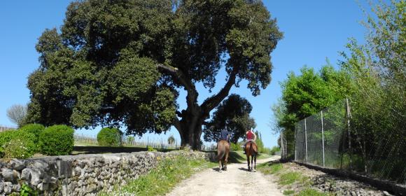 Photo d'un sentier pris par Cecile Delliere aux alentours du Moulin de Prezier à Cherves-Richemont