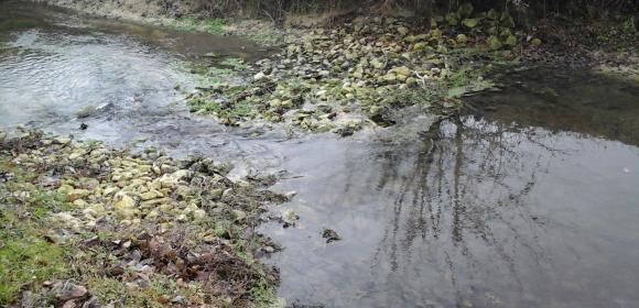 prendre soin de milieu aquatique à Cognac