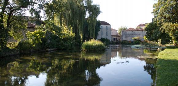 Scot de la ville de Cognac