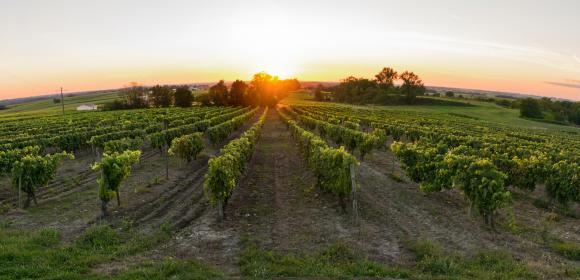 Un territoire d’exception Cognac