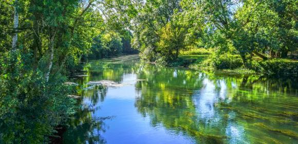 territoire-engage-pour-la-nature-aurelie-stapf