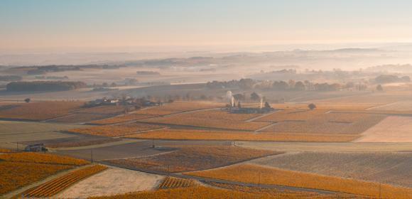 fabian_monchatre-bandeau-leader-paysage de grand Cognac vue du ciel 