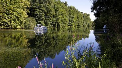 Fleuve Saint-Brice