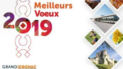 voeux2019