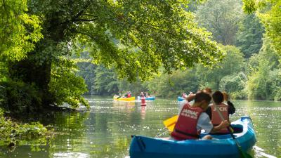 canobus été actif