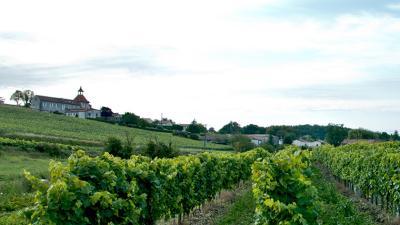 commune-bellevigne
