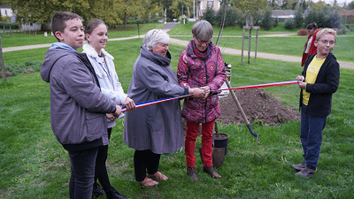 prends les manettes-plantation-arbre