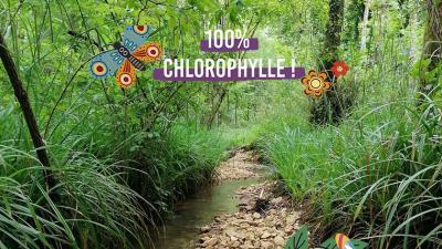 Vignette-chloro-juin-coué-et-gué