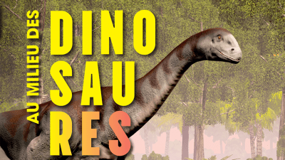 20240527_affiche_Tumulte_VF-vignette.png