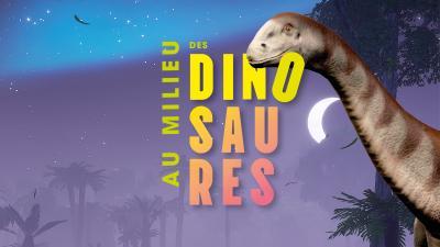 Vignette-dinos-site-web Vignette-dinos-site-web