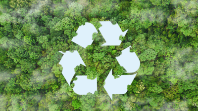 Symbole de l'économie circulaire sur la canopée d'une forêt vue du ciel