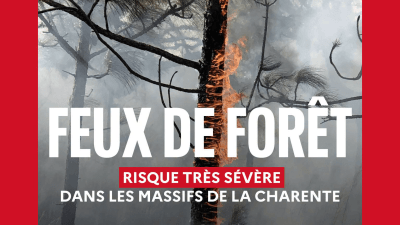 2026 - vigilance feu - Département de la Charente, un arbre brûle