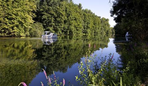 Fleuve Saint-Brice