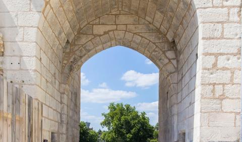 Crédits : Albane photographe / Grand Cognac