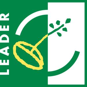 logo LEADER