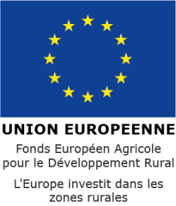 Logo du FEDER - drapeau européen avec intitulé