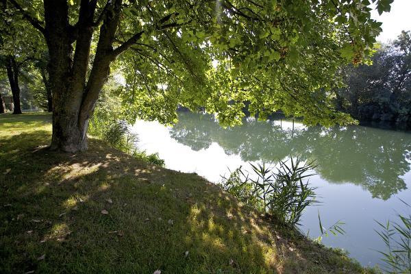 Entretien des abords du fleuve de Cognac Entretien des abords du fleuve de Cognac