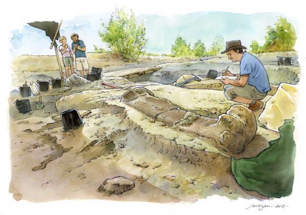 Fémur sauropode-Rafael Royo Torres-Mazan Fémur sauropode-Rafael Royo Torres-Mazan