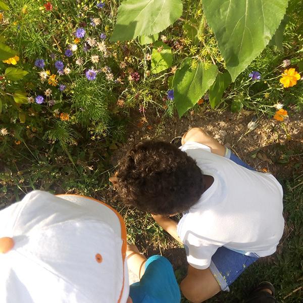 enfants observation nature-biodiversité enfants observation nature-biodiversité