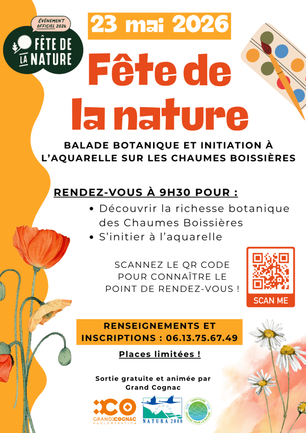 fete-de-la-nature-biodiversite-affiche - coquelicots et marguerites peintes à l'aquarelle