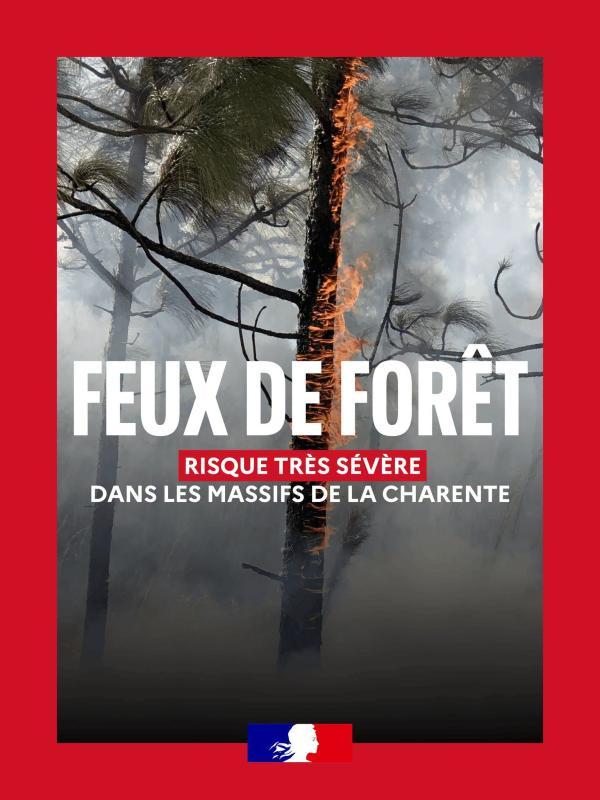vigilance-feu.2026 - département de la charente - un arbre brûle