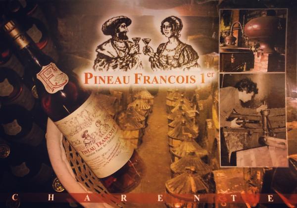 VISITE DU DOMAINE DES GATINAUDS, PINEAU FRANÇOIS 1ER