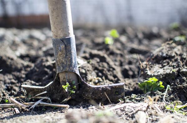 ATELIER JARDINAGE AU NATUREL