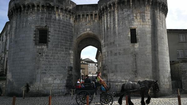 BALADE EN CALÈCHE À COGNAC
