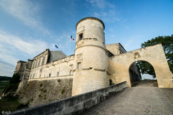 GRAND ANGLE SUR LE CHÂTEAU DE BOUTEVILLE