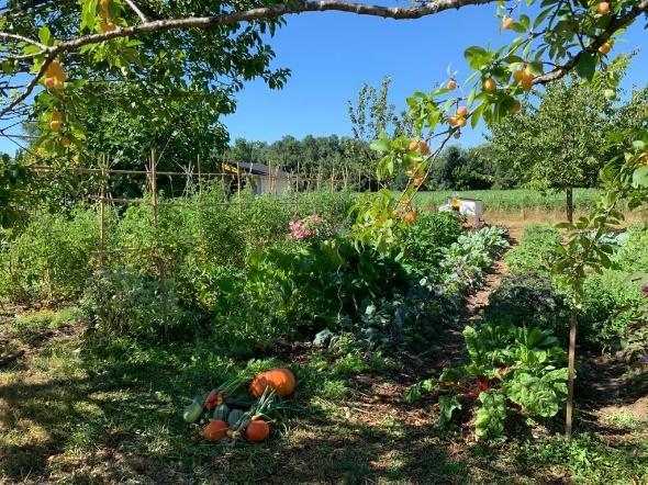VISITE DU JARDIN REINVENTE