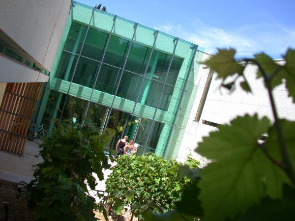 LES COLLECTIONS DU MUSÉE DES ARTS DU COGNAC