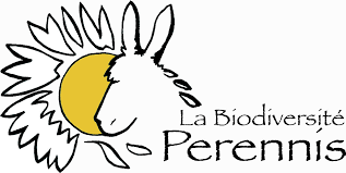 VENTE D'OBJETS POUR L'ASSOCIATION PERENNIS