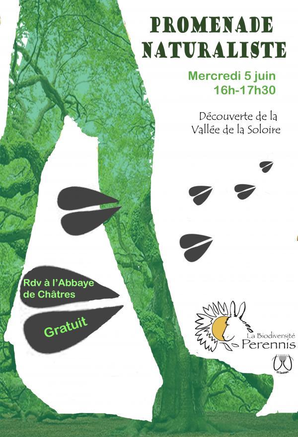PROMENADE NATURALISTE