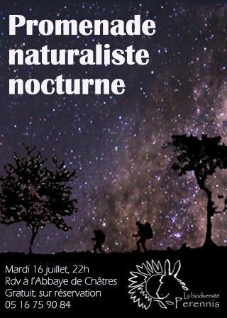 PROMENADE NATURALISTE NOCTURNE