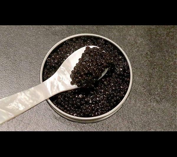 ACCORD CAVIAR/COGNAC 