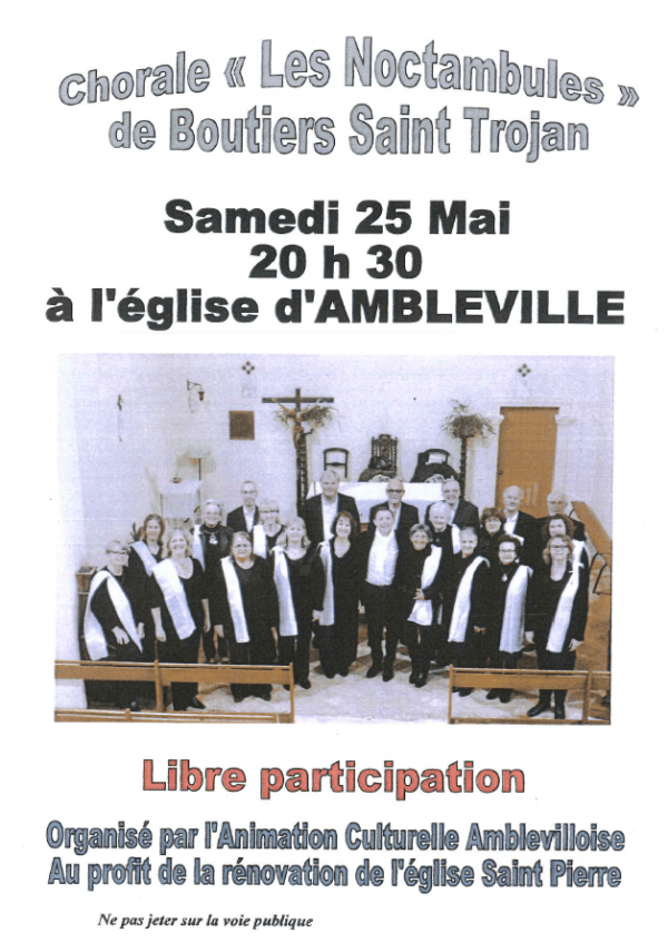 CONCERT LES NOCTAMBULES