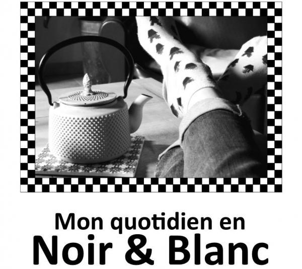 MON QUOTIDIEN EN NOIR ET BLANC