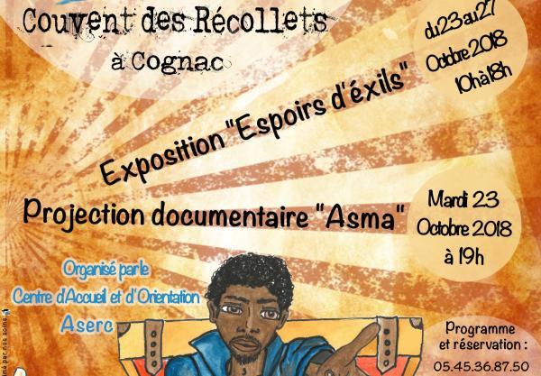 PROJECTION DU DOCUMENTAIRE ASMA