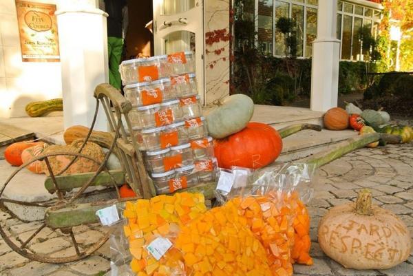 CHANTIER "COURGESQUE" 