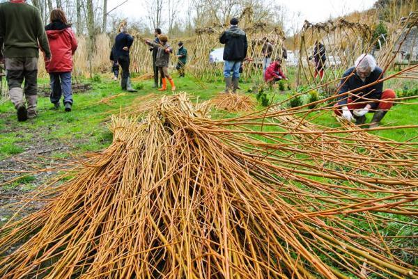 ATELIER CONSTRUCTION EN OSIER