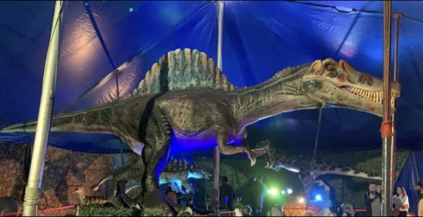 LE RÈGNE DES DINOSAURES