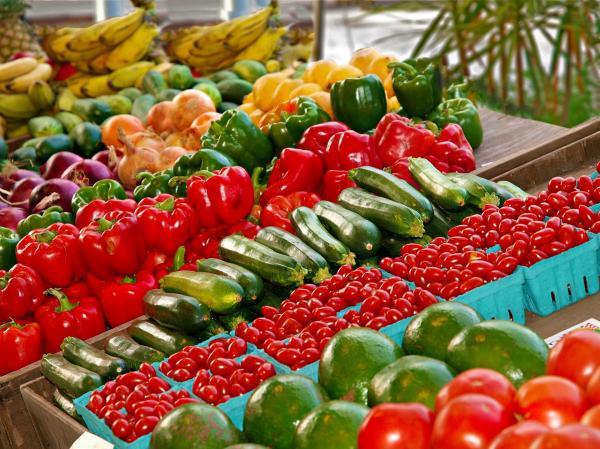 MARCHE SOUS HALLES ET DE PLEIN VENT