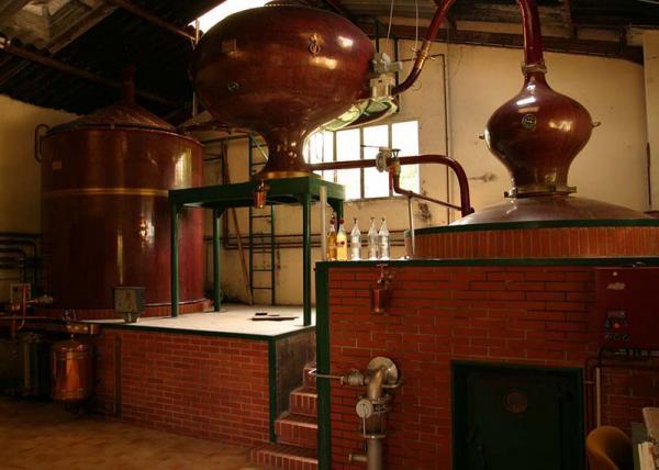 COGNAC PAINTURAUD FRERES - MARCHÉ GOURMAND - PORTES OUVERTES