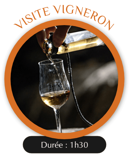 VISITE VIGNERON AU COEUR DU VIGNOBLE DE COGNAC