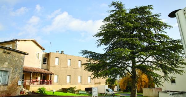 Image de l'actu de Grand Cognac